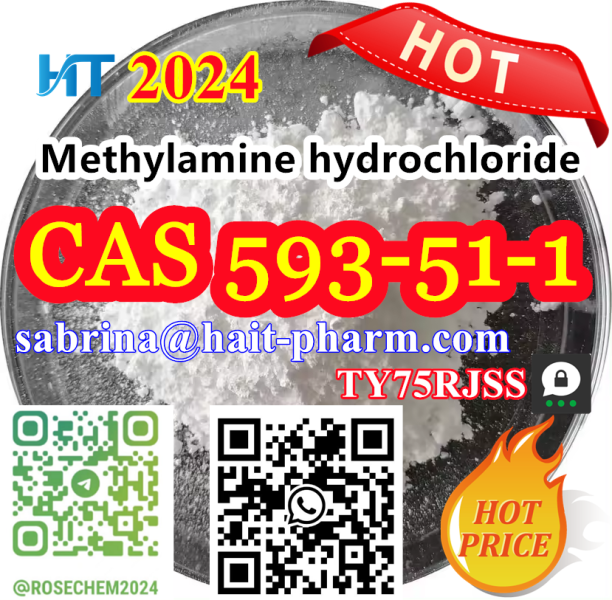 8615355326496 Methylamine hydrochloride CAS 593511